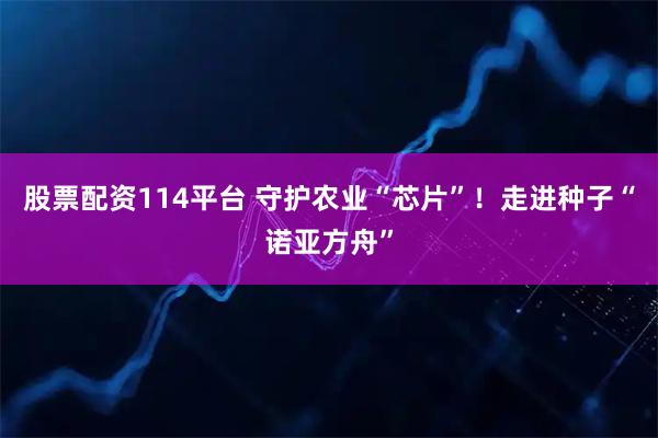 股票配资114平台 守护农业“芯片”！走进种子“诺亚方舟”
