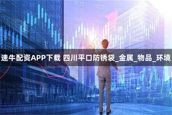 速牛配资APP下载 四川平口防锈袋_金属_物品_环境