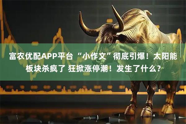 富农优配APP平台 “小作文”彻底引爆！太阳能板块杀疯了 狂掀涨停潮！发生了什么？