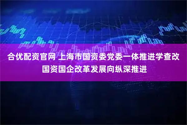 合优配资官网 上海市国资委党委一体推进学查改 国资国企改革发展向纵深推进